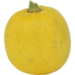 Melonette de vendee von Christophe K. (Sonntag, 25. Oktober 2020